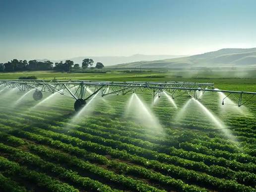 Irrigation infrastructure work